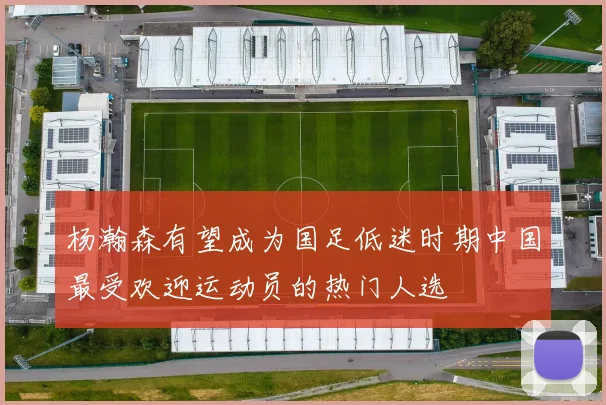 杨瀚森有望成为国足低迷时期中国最受欢迎运动员的热门人选