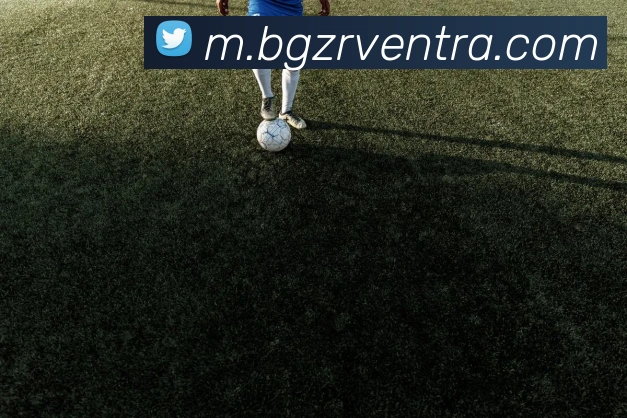 BG真人品牌故事