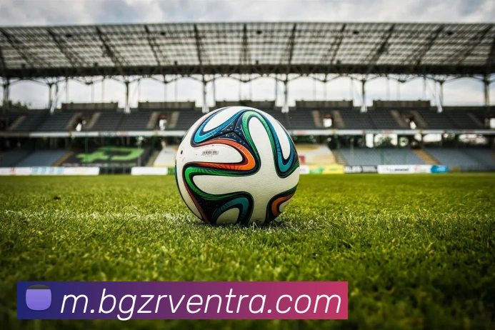 BG真人服务体系